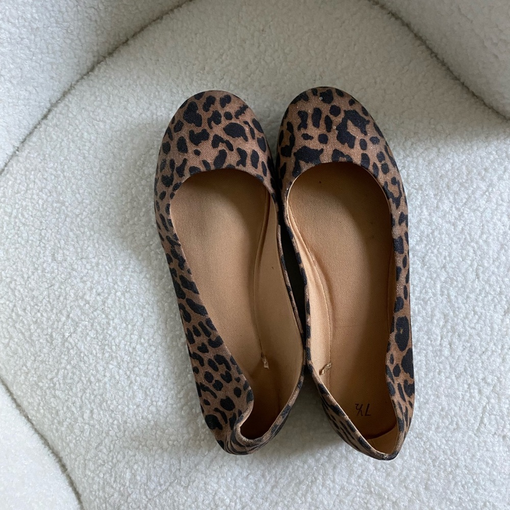 Leopard slides.